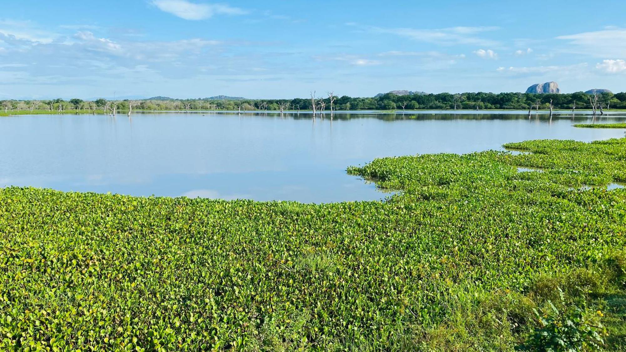 Attale Resort Tissamaharama Exteriér fotografie